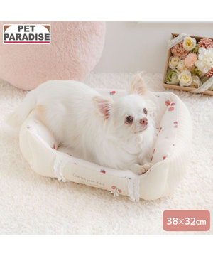  ペットパラダイス カドラー 《花苺柄》 Ｓ