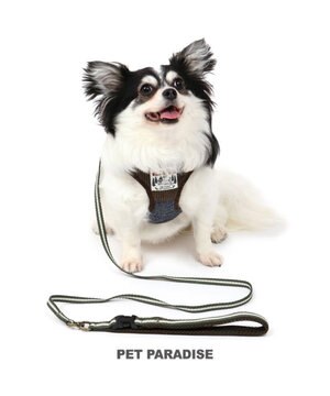 犬 ハーネスリード ｓ コーデュロイ 小型犬 おさんぽ おでかけ お出掛け おしゃれ オシャレ かわいい Pet Paradise ファッション通販 公式通販 オンワード クローゼット