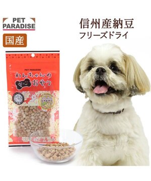  フリーズドライ 納豆 40g 国産