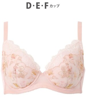  【小さく見せるブラ】 レーシィ ブラジャー 着やせ効果 コンパクトにメイク バストの突出をおさえる 背中の段差を軽減 大きいサイズ レディース BRB453 /ワコール