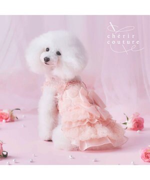  cherircouture メニ―ローズ ワンピース ピンク 小型犬