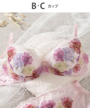  Wing Lesiage　【2760シリーズ】　ブラジャー　ふっくらまる胸　カップ肌側綿混素材　ウイング／ワコール　PB2760