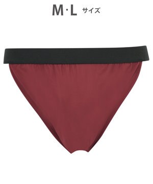  WACOAL MEN 【ふんどしNEXT】 ブリーフ メンズ 締めつけにくく通気性のよいふんどしスタイル 前閉じ WF4020 /ワコールメン