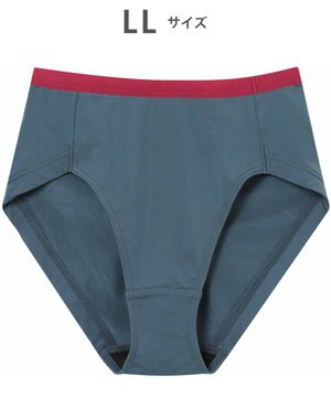  WEB限定 ショーツ 【ハグするブラ】 BMM700とペア はきこみ丈ふかめ 段差ができにくい(後ろ裾) レディース PMM600 /ワコール