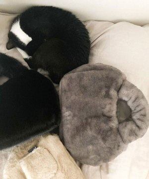  1325【まるで猫】SN.デリ.ファーブランケット-A