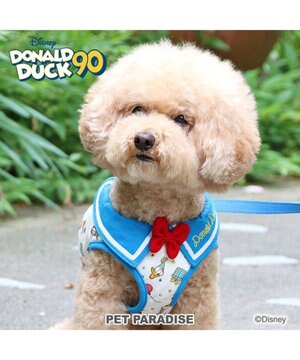  ディズニー ドナルドダック 90周年 ベストハーネス Ｓ 《パーティー柄》 小型犬