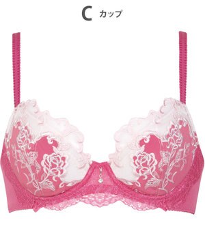  3/4カップブラ　【2650シリーズ】　ウイング／ワコール　PB2650