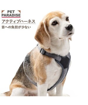  ペットパラダイス アクティブハーネス 杢調 ＳＭ 中型犬