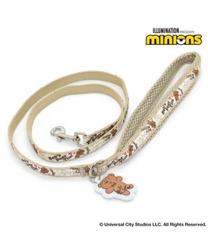  ミニオン  ティム リード【４Ｓ~３Ｓ】