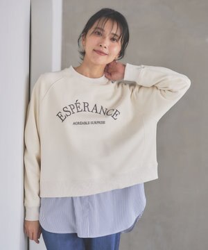  【洗濯機可】裏毛ロゴスウェット