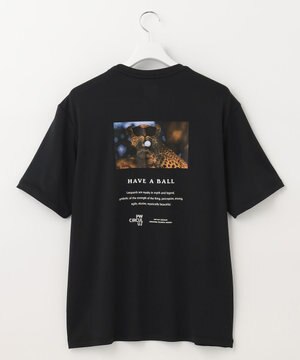  【UNISEX】【ストレッチ/UVケア/接触冷感/防透】バック フォト Tシャツ