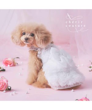  cherircouture メニ―ローズ ワンピース ホワイト 小型犬