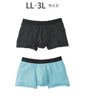  ボクサーパンツ　【2枚セット】　ベーシックスタイル　フロント快適設計　前閉じ　/ブロス　GT3350