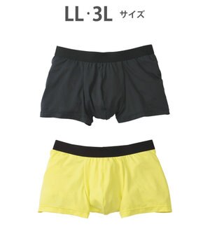  ボクサーパンツ　【2枚セット】　ベーシックスタイル　フロント快適設計　前閉じ　/ブロス　GT3350