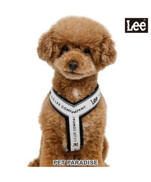  Lee ロゴ アクティブ ハーネス ３Ｓ 小型犬