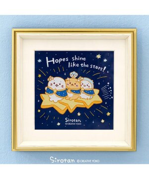  しろたん 星空アートフレ―ム