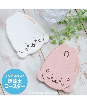  しろたん 珪藻土 コースター 《 しろたん柄 / らっこいぬ柄 》 単品