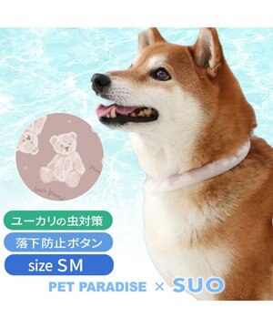  ペットパラダイス 28℃クールリング  《くま》 ＳＭ 中型犬