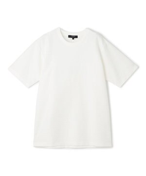 【WEB・一部店舗限定】 タックボーダー　半袖カットソー