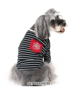  J.PRESS フライス Tシャツ 《ボーダー》 小型犬