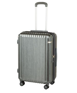  ace. パリセイドZd Mサイズ 59～70L 06818 エース