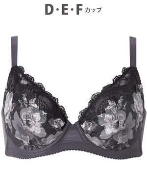  【小さく見せるブラ】 レーシィ ブラジャー 着やせ効果 コンパクトにメイク バストの突出をおさえる 背中の段差を軽減 大きいサイズ レディース BRB453 /ワコール