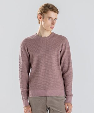  【新柄】 ヴィスコースリンクス　クルーネックニット