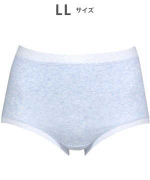 【ディアヒップ】 ショーツ はきこみ丈ふかめ 綿混(身生地) ヒップを包みこむフィット感 やさしいはきごこち PPA177 /ワコール