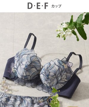  Wing Lesiage　【2750シリーズ】ブラジャー　脇すっきり　ウイング／ワコール　PB2750