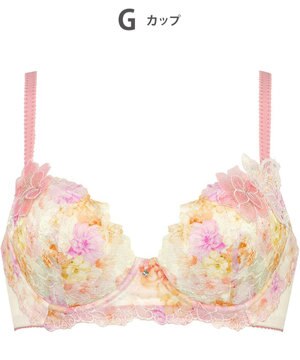  ブラジャー Wing Lesiage サイドすっきり しっかりフィット 【2900シリーズ】 ブラ PB2900 ウイング／ワコール