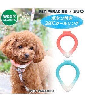犬 ひんやり 28 ｓ 小型犬 ネッククーラー 繰り返し 何度も使える ネック クール 冷感 お散歩 アイシング 首もと冷却 暑さ対策 熱中症対策 夏 ひんやり バンダナ 首掛け 涼感 冷却 ひえひえ ボタン付き ブルー ピンク Pet Paradise ファッション通販 公式通販