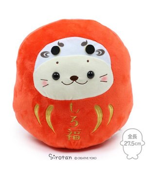  しろたん お座り 赤だるま 《しろ福》  27.5cm