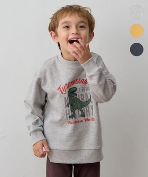  恐竜プリント 裏毛トレーナー