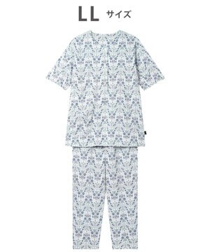  パジャマ 綿100%(本体) 天竺素材 ミントン 5分袖 半袖 長ズボン レディース NDT167 /ワコール