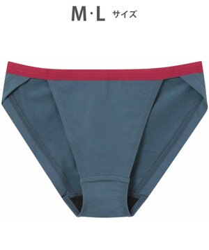  WEB限定 ショーツ 【ハグするブラ】 BMM700とペア はきこみ丈あさめ ラクなはきごこち レディース PMM200 /ワコール