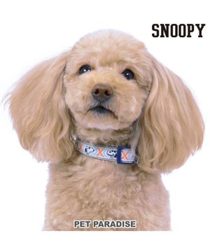  スヌーピー ジョークール 反射 お揃い 首輪 【ＳＳ】