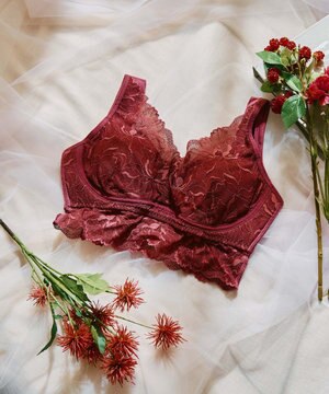  毎日らくちん 楽しくバストケアもちもちナイトブラ【ナイト＆ディブラ】フロントホック無し 【northerly】