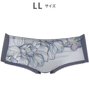  Wing Lesiage　【2750シリーズ】ペアショーツ　アウターにひびきにくい　はきこみ丈あさめ　ウイング／ワコール　PF2751