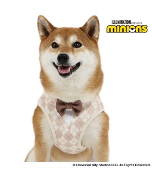  ミニオン ティム ベストハーネス 《アーガイル》  中型犬 SM