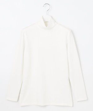 シアバタータートル