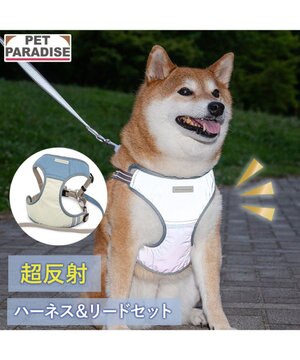  ペットパラダイス 超反射 切り替え ハーネス＆リード ＳＭ 《ブルーグリーン》