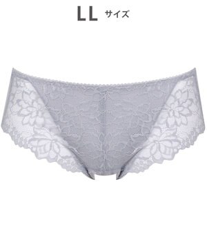  サニタリーショーツ 【GOCOCi ゴコチ】 「普通~多い日」に対応 後ろまでしっかりカバー 羽付きナプキン対応 総レース 生理用ショーツ はきこみ丈あさめ レディース PGG198 /ワコール