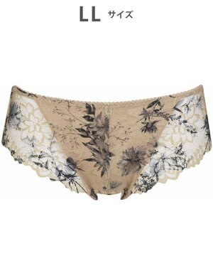  サニタリーショーツ 【GOCOCi ゴコチ】 「普通~多い日」に対応 後ろまでしっかりカバー 羽付きナプキン対応 総レース 生理用ショーツ はきこみ丈あさめ レディース PGG198 /ワコール