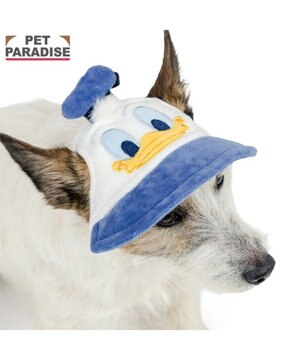  ディズニー ドナルドダック お顔キャップ ４Ｓ～３Ｓ/ＳＳ～Ｓ