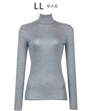  あったかインナー 肌あたりがやさしい あたたかい 長袖 アウタータイプ レディース CLD727 /ワコール