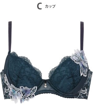  ブラジャー Wing Lesiage 脇すっきりの着やせシルエット 背中すっきり 【2860シリーズ】 ブラ PB2861 ウイング／ワコール