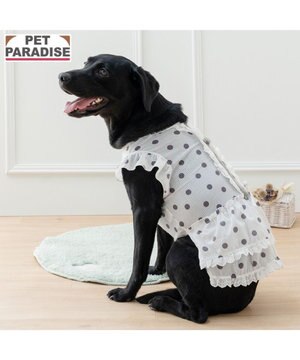 ペットパラダイス 背中開き フリル ワンピース 《ドット柄》 中型犬 大型犬