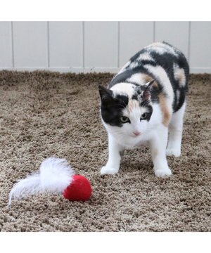  ペットパラダイス 猫 羊毛ボール 羽付き 【単品】