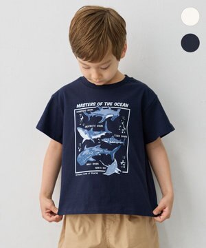  【綿100％】サメプリント 半袖Tシャツ