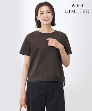  【WEB限定カラーあり・洗える】コットンスムース シアーデザイン カットソー